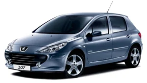 Peugeot 307 Kronik Arızalar