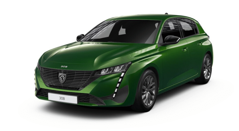 Peugeot 308 Kronik Sorunları